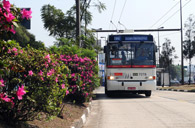 Índice de Qualidade Ambiental